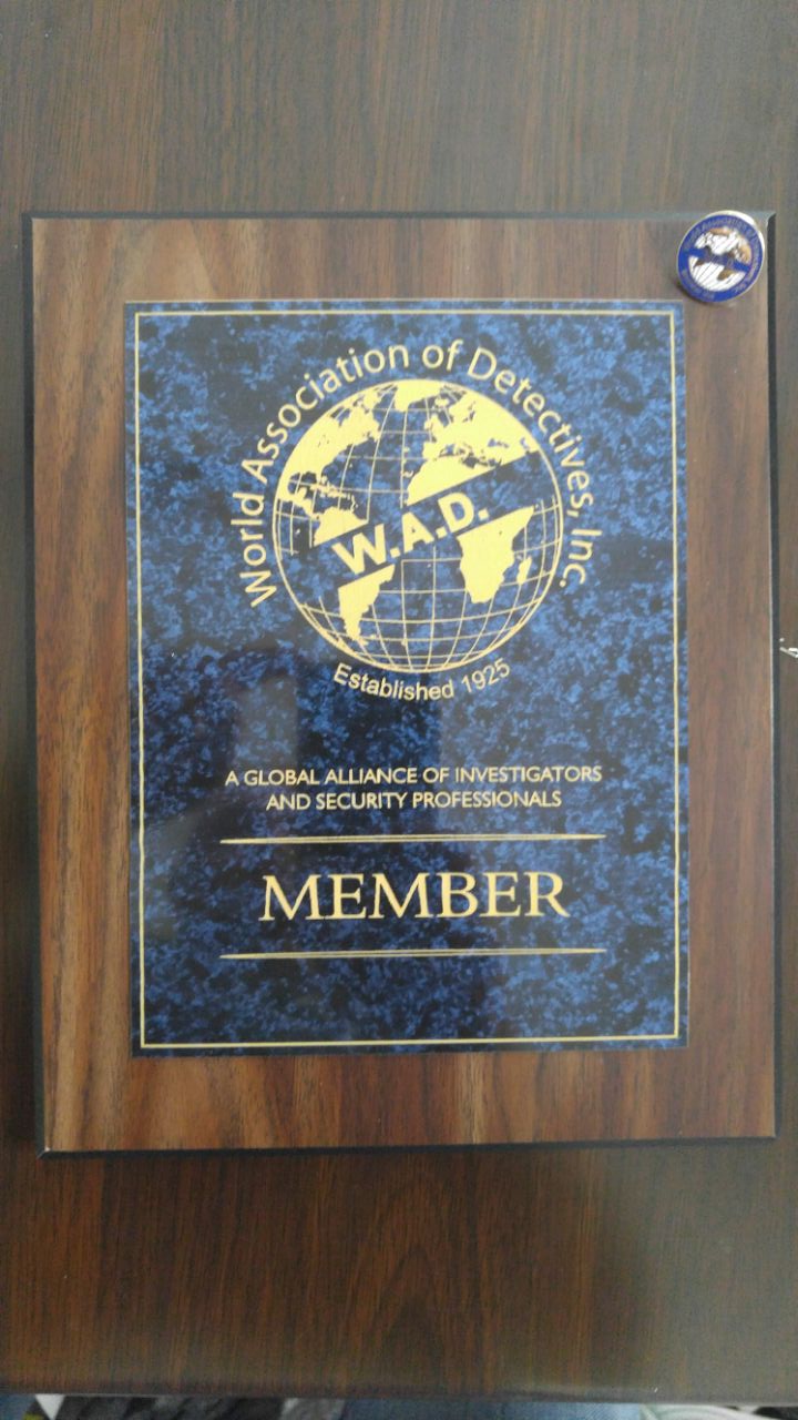 WAD member kodkod